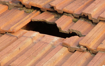 roof repair Eddington